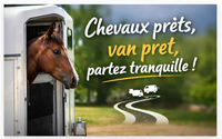 Déplacements chevaux : simple, sûr et encadré